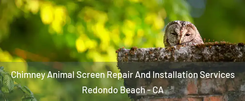  Chimney Animal Screen Repair And Installation Services Redondo Beach - CA