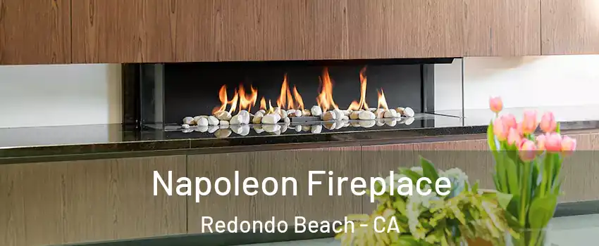  Napoleon Fireplace Redondo Beach - CA
